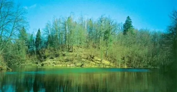 Butvilonių piliakalnis nuotrauka