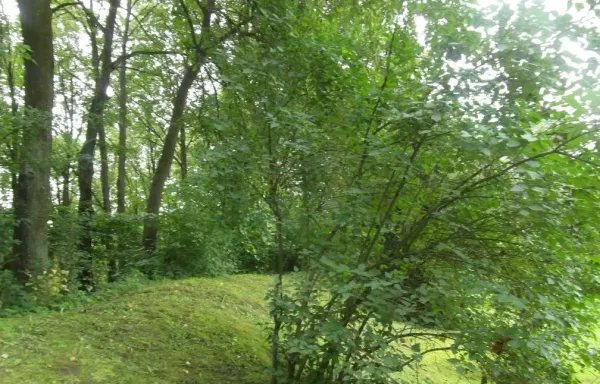 Karmėlavos piliakalnis, vad. Pilimi nuotrauka