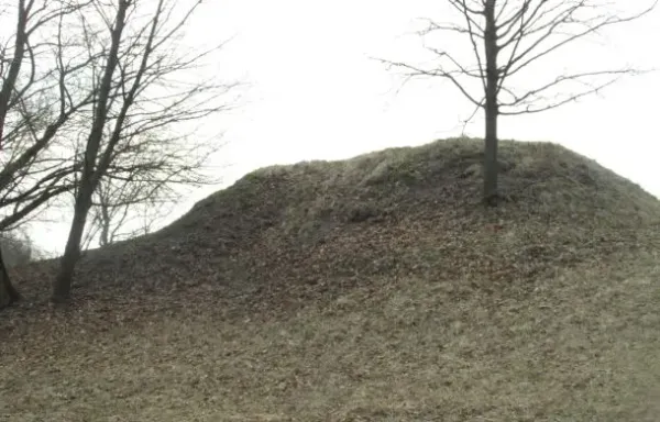 Pakalniškių piliakalnis nuotrauka