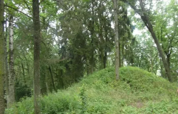 Samylų II piliakalnis nuotrauka