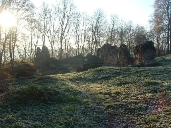 Lapės – ar­che­o­lo­gi­nė dvarvietė nuotrauka