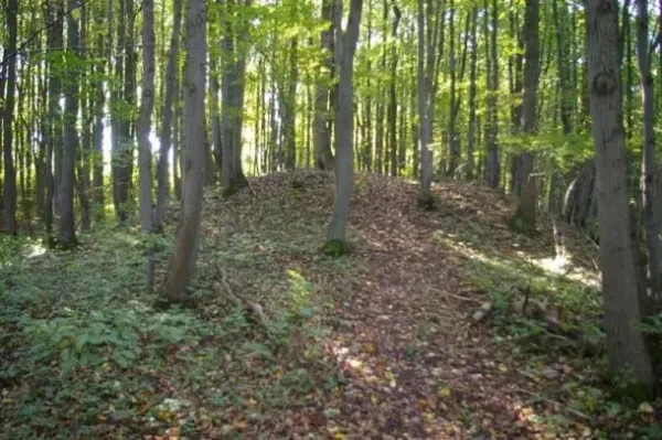 Marvelės II piliakalnis nuotrauka