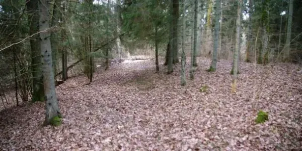 Paštuvos piliakalnis nuotrauka