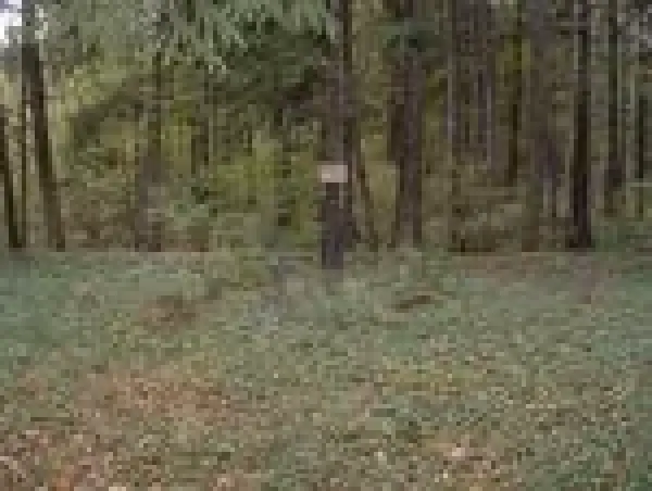 I-ojo pas. karo vokiečių karių kapinės, Kauno r. sav., Girininkų k. (Alšėnų sen.) nuotrauka