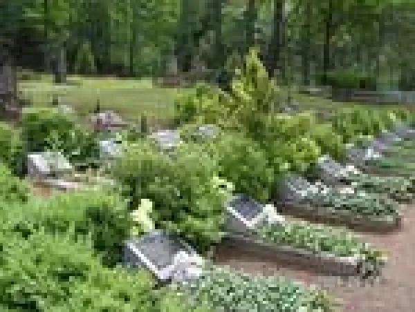 Lietuvos partizanų kapai ir paminklas nuotrauka