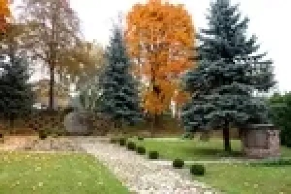 Lietuvos partizanų kapai nuotrauka