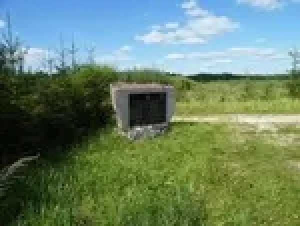 Lietuvos partizanų kovos ir žūties vieta nuotrauka