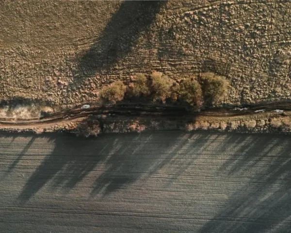 Siekia pritraukti lėšų melioracijos sistemoms atnaujinti  nuotrauka